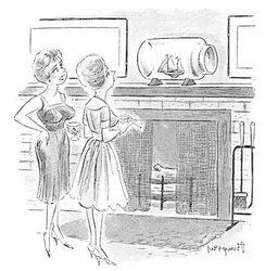 Bunny Funnies.