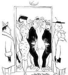 Bunny Funnies.