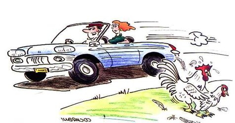Bunny Funnies.
