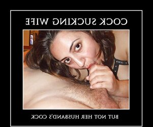 Poster Wives 74 - is your wifey here?