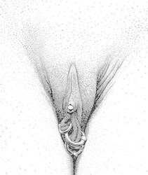 Kaleidoscope of Drawn EroPorn Art 25 of 25 - Various Artist