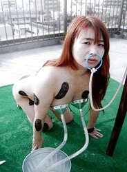 Japanese Restrain Bondage