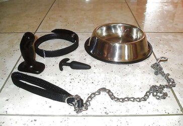 Doggies, Pets, Cangue