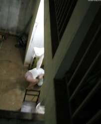 Spying through the window (combine)