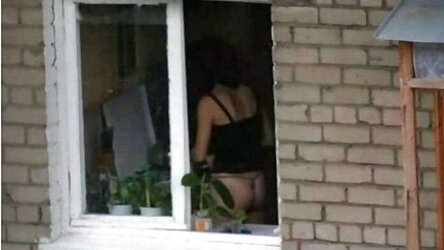 Spying through the window (combine)