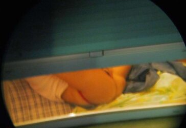 Spying through the window (combine)