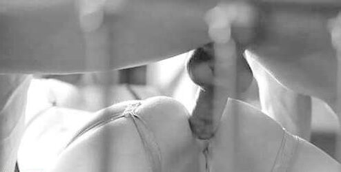 Assfuck session