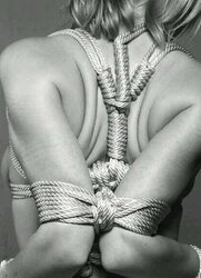 Corded damsels
