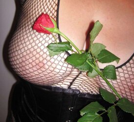My crimson-rose-day