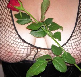 My crimson-rose-day