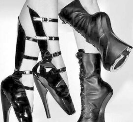 Dark-Hued and White 259!