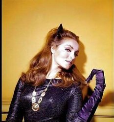 ASN Cool Sinful Evil Tastey Enjoyed CATWOMAN