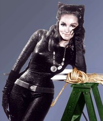 ASN Cool Sinful Evil Tastey Enjoyed CATWOMAN