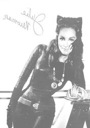 ASN Cool Sinful Evil Tastey Enjoyed CATWOMAN
