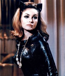 ASN Cool Sinful Evil Tastey Enjoyed CATWOMAN