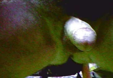 SPEAR PRICK STROKING DRAINING OFF GAY BISEXUAL ORGY