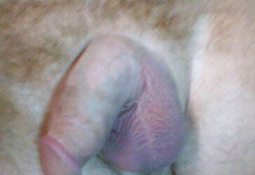 SPEAR PRICK STROKING DRAINING OFF GAY BISEXUAL ORGY