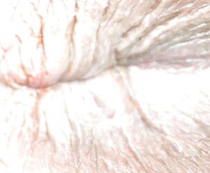 Amandas pink hole march