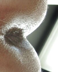 Amandas pink hole march