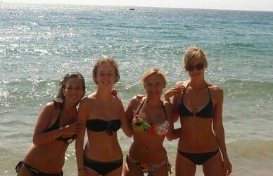 Laura diminutive chienne de belfort et ses copines