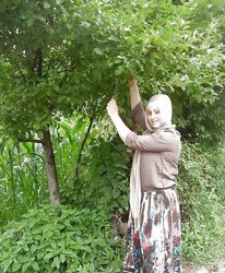 Turkish turbanli hijab arab asian asuman