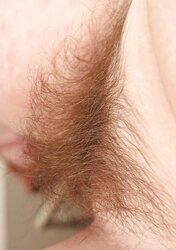 Saxana Fur Covered Mature