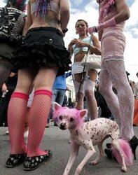 Russian Pantyhose
