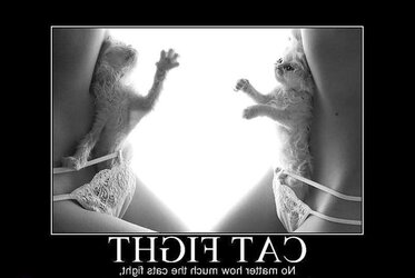Fantastic, funny Motivational Pictures