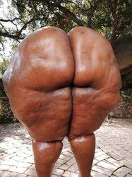PLUMPER chubby supersize meaty melons giant donk girls
