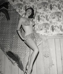 Bonnie LOGAN two aka Laura Lee, Jane Logan