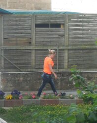 Neighboor. voisine