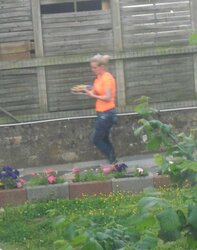 Neighboor. voisine