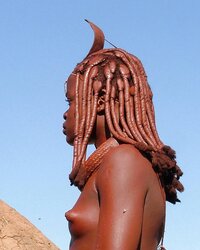 More Native African Damsels