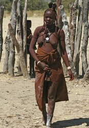 More Native African Damsels