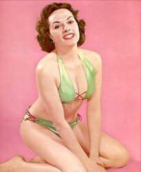 Vintage model Brandy Kayse
