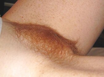 Delicious Ginger Minges