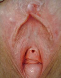 Meaty granny honeypot