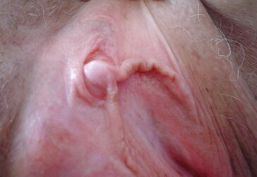 Meaty granny honeypot