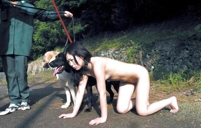 Sexslaves in public