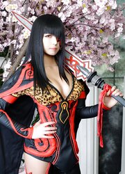 Cosplay (ecchi, fantastic