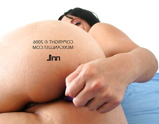Still Bringin The Ass