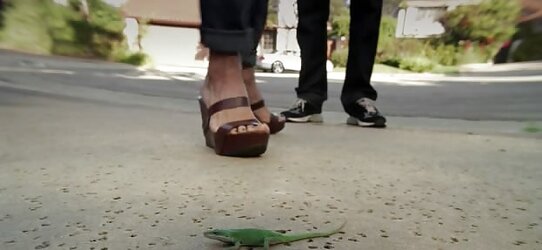 Courteney Cox Sole Pictures