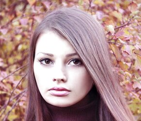 Magnificent FB Model Part
