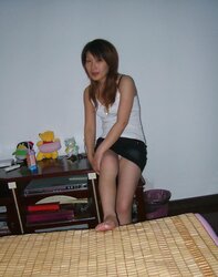 Beijing Pal
