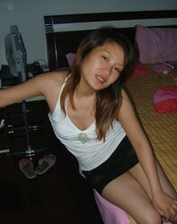Beijing Pal