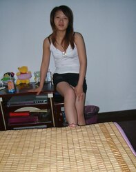 Beijing Pal