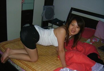 Beijing Pal