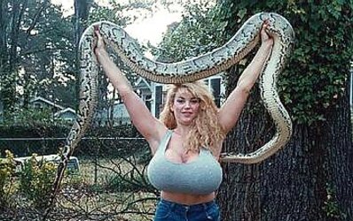 FLESHY THICKNESS Assorted