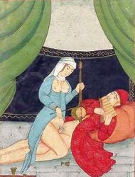 Drawn Ero and Porn Art 1 - Indian Miniatures Mughal Period