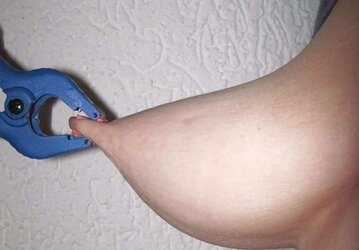 Zitzenbehandlung des Schweins